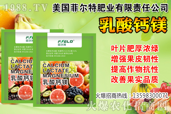 ���Ѳ��պ���α��r�����Ѳ��պ���@ע�������