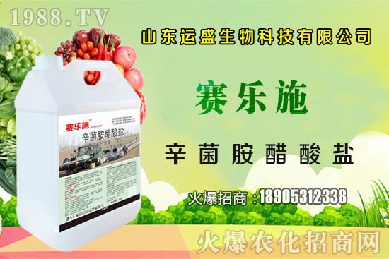 �����Ә���ڷ۷����������Ә���ζ�������