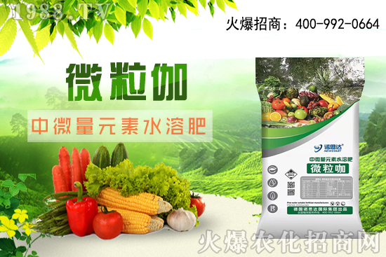 ����ԓ��ô��������������r�g������ע��Ҫ�c��