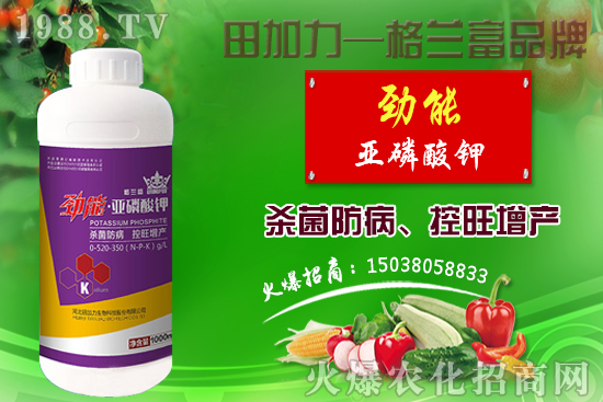 �޻������������ʩ�����޻�������Լ�ʩ��ԭ�t��