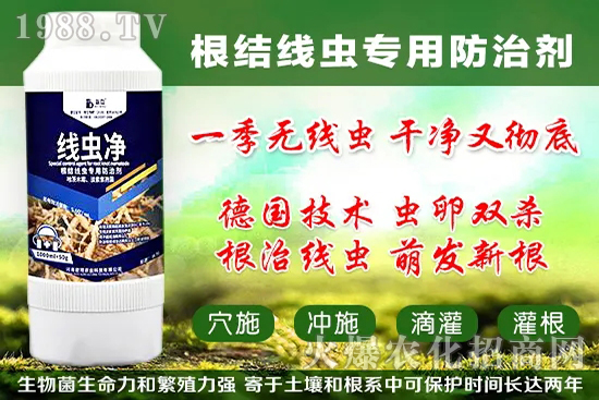 �������״���ʲô�������������״���������x����