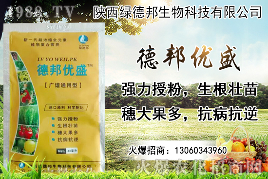 �����r������Xһ���������Nֲ�ĭh(hu��n)�������x������