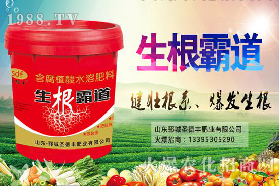 ������Nֲ����(ji��)��ʲô�r(sh��)����������Nֲ��������Щ��