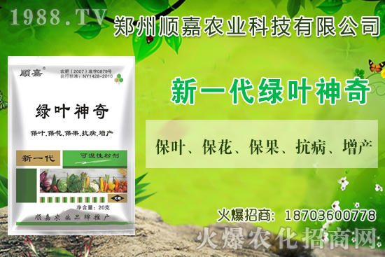 С���r���B�B�ϝq���F(xi��n)��һ������X��