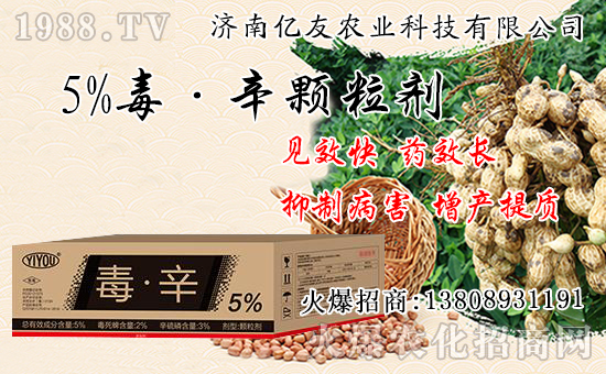 ����(sh��)���Ժʹ�����ʲô��ͬ������(sh��)���԰˴��P(gu��n)�IҪ�c(di��n)��