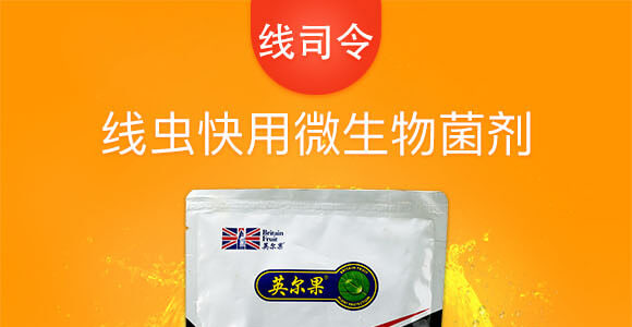 ��(xi��n)�x(ch��ng)����΢�������-��(xi��n)˾��-Ӣ����_01