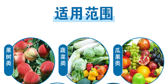 �Ҹ����\-Ӣ����_07