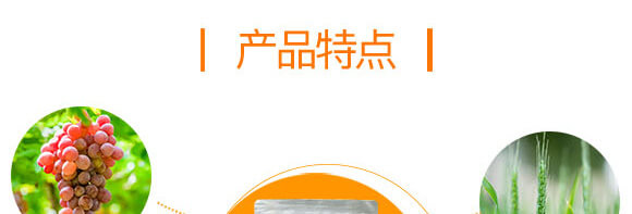 ��(xi��n)�x(ch��ng)����΢�������-��(xi��n)˾��-Ӣ����_04