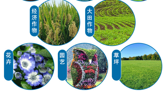 �Ҹ����\-Ӣ����_08