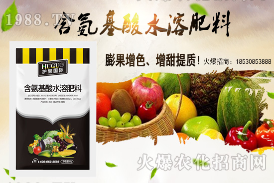 �|���m����ʲô����(ji��)���ࣿ�|������M(j��n)�зNֲ��