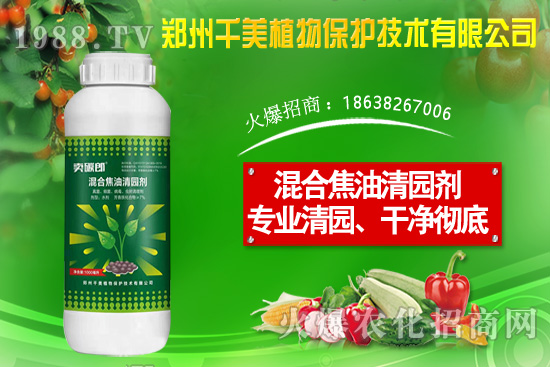 ���X�ݷN����ô�N�����X�ݷNֲ������B��