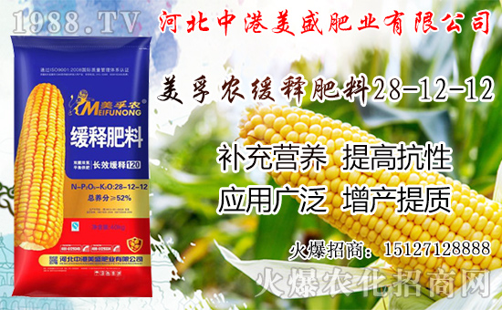 �O���������������ô�������O�������ڼ���ժ�������