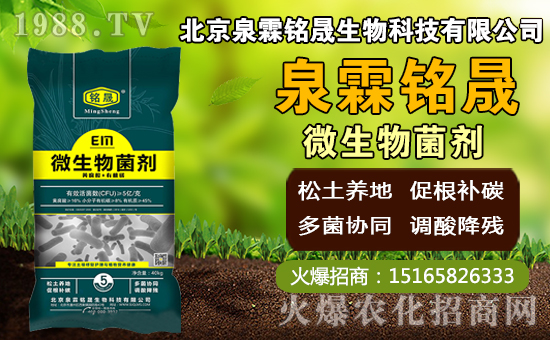 â��ʲô�r(sh��)�g�Nֲ��â���Nֲ��������ˮ�r(sh��)�ڣ�