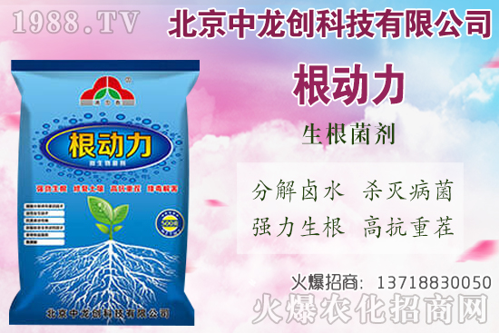 ���}���������������Щ�����}��ʩ�ʼ��g(sh��)Ҫ�c(di��n)��