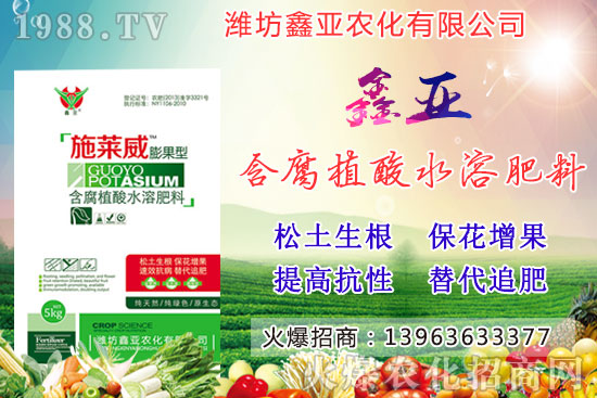 �Zʳ�q�r��20209��17��С���r�����������