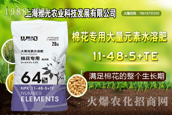 ��ʲô�r(sh��)��Nֲ�������༼�g(sh��)Ҫ�c(di��n)��