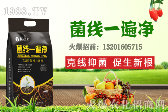 9��19��С���r(ji��)��������q�����F(xi��n)��