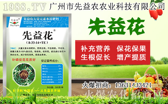 水仙花形態(tài)特征及生長習(xí)性，水仙花栽培方法！