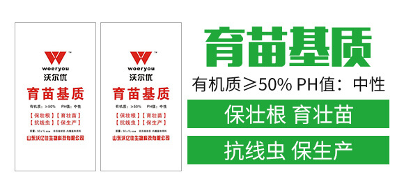 ������|(zh��)-�֠���(y��u)_02