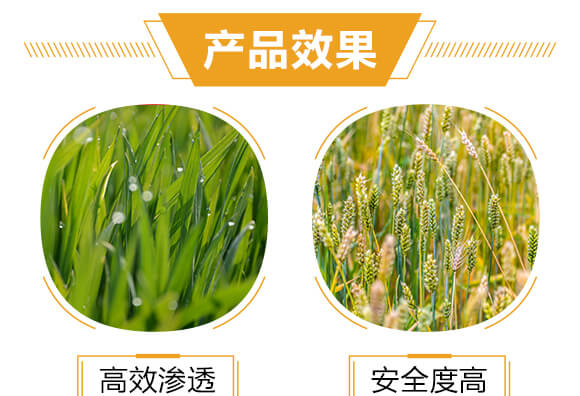 �M(j��n)�ڌ��Ú�������-���-�����r(n��ng)_05