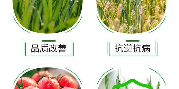 500ml��������ˎ��-������-�t��_06