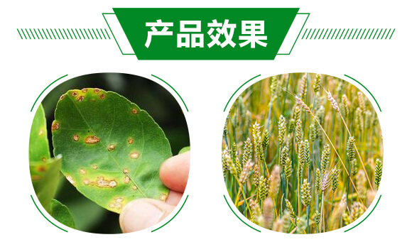 �׷�Ѭ��-�o��120-��ï�r(n��ng)�I(y��)_05