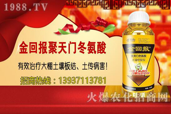 ���w�������cС�w����ɶ��ͬ������ԓ�x��һ�N��