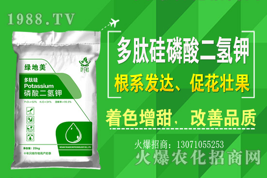 �۲˵ă�(y��u)��Ʒ�N����Щ���۲˷Nֲ���L�h(hu��n)�������Nֲ���g��