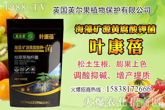 ��ô�Д����׺�ˮ��������������ˮ���й��ж���(j��ng)�(y��n)��