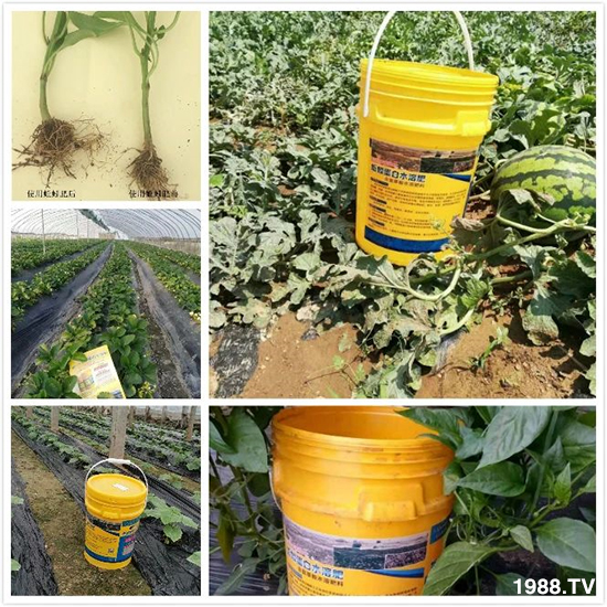 ˮ�ܷ��Ј���׃��������徫���~���׌�����������1000���Ñ��������]��