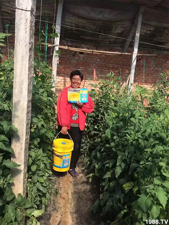 ˮ�ܷ��Ј���׃��������徫���~���׌��������棡1000���Ñ��������]��