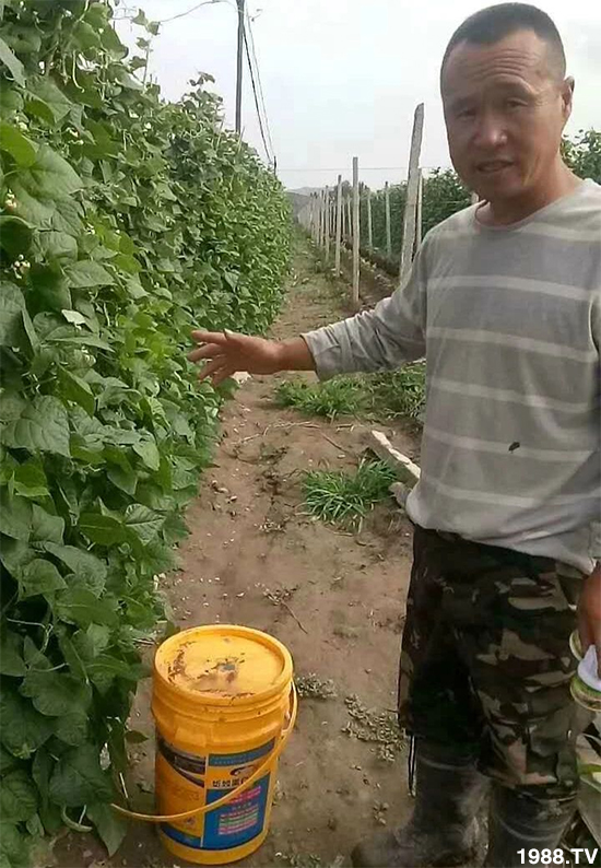 ˮ�ܷ��Ј���׃��������徫���~���׌�����������1000���Ñ��������]��