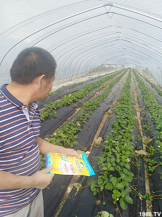 ˮ�ܷ��Ј���׃��������徫���~���׌�����������1000���Ñ��������]��