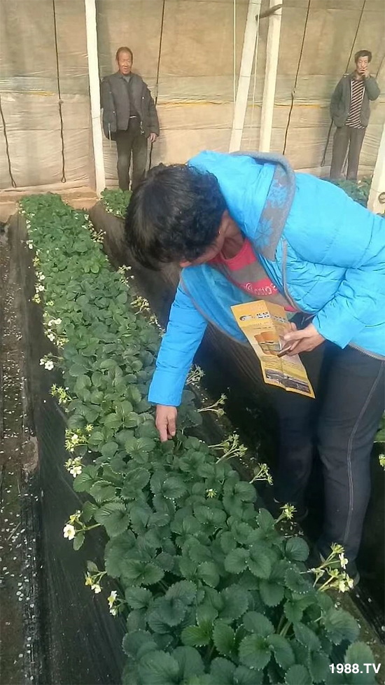 ˮ�ܷ��Ј���׃��������徫���~���׌�����������1000���Ñ��������]��