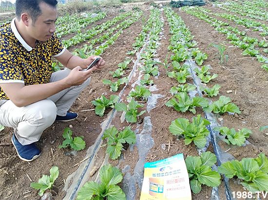 ˮ�ܷ��Ј���׃��������徫���~���׌�����������1000���Ñ��������]��