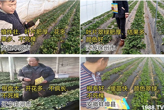 ˮ�ܷ��Ј���׃��������徫���~���׌�����������1000���Ñ��������]��