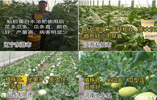 ˮ�ܷ��Ј���׃������徫���~���׌�����������1000���Ñ��������]��