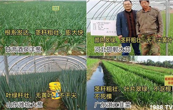 ˮ�ܷ��Ј���׃������徫���~���׌�����������1000���Ñ��������]��