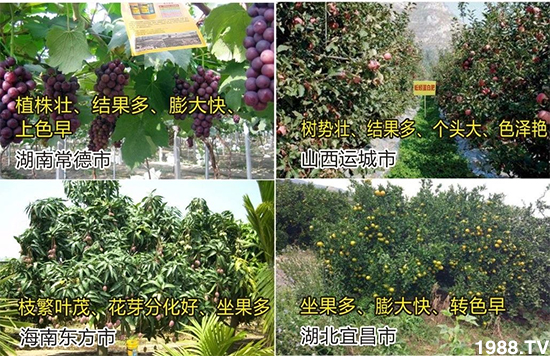 ˮ�ܷ��Ј���׃��������徫���~���׌�����������1000���Ñ��������]��