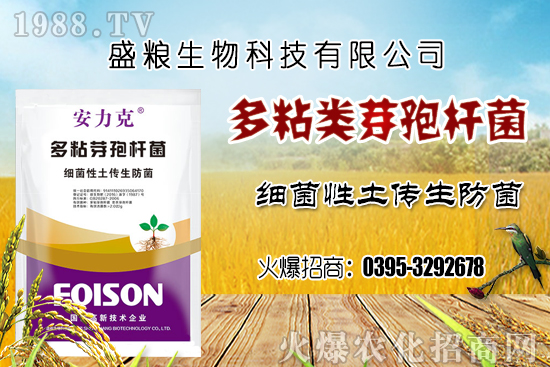 ܇?y��n)��ӷNֲ�h(hu��n)��Ҫ�����Ď��c(di��n)��܇?y��n)������N�x�����N�׷N��