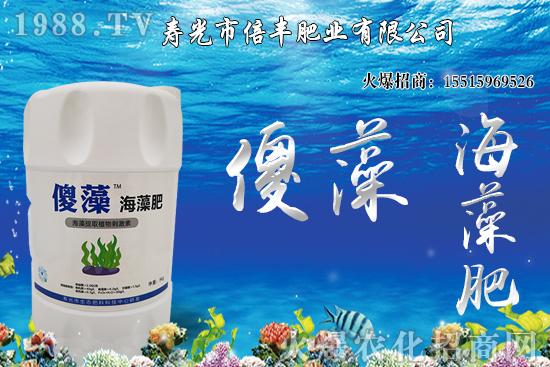 �Ј�(ch��ng)�𲽻ؚw���������棬�󶹃r(ji��)��_�߻�����