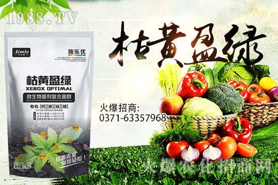 ʮ�¼�������(l��i)�����r(ji��)�ܝq���٣�9��29��С���r(ji��)���߄�(sh��)��