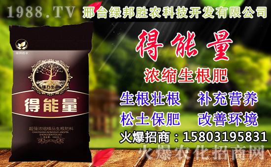 2020��С���N������x���߮a(ch��n)С��Ʒ�N����Щ��