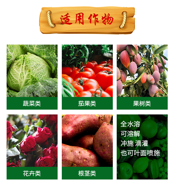 ������̼��ش���Ԫ��ˮ�ܷ���12-8-40+TE-��ʩ��_06