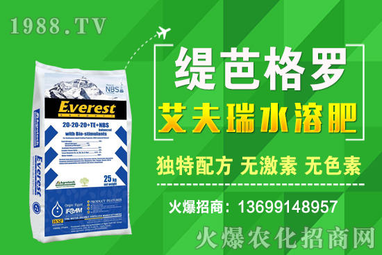 С���r��q����ʮ��С�������A�y��