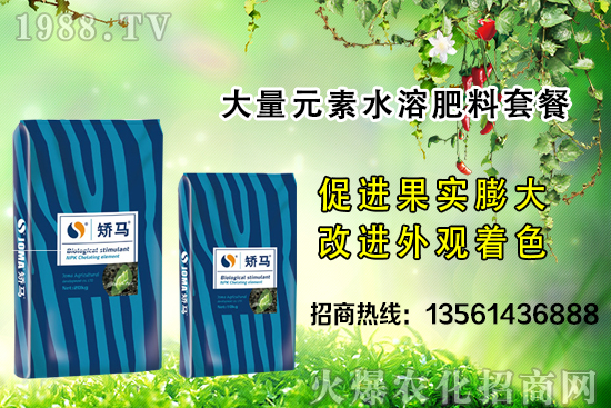 �＾����ʩ�ʵĺ�̎����Щ���＾����ʩ��ָ��(d��o)������