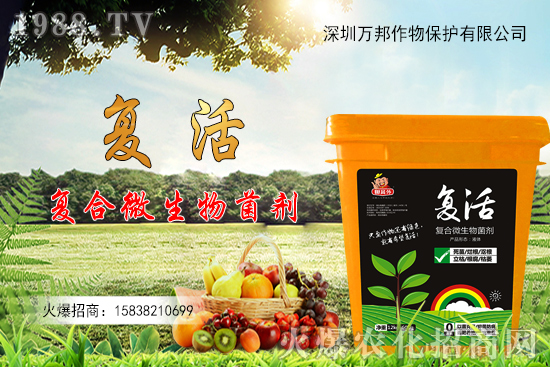 ���������ԷN������M(j��n)�й�������ʲô����Ҫ�c(di��n)��