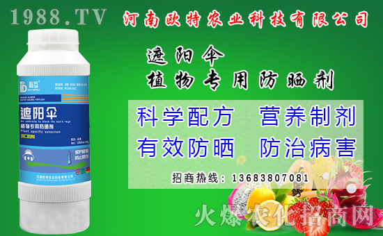 �R������Ժ���Щ�����׷N���R����׷Nģʽ��ʲô��̎��