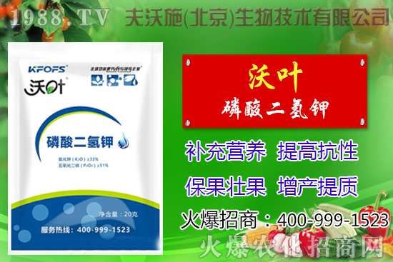 ���t��ժ�~����Щ��̎������ժ�~���g(sh��)��ע����헣�