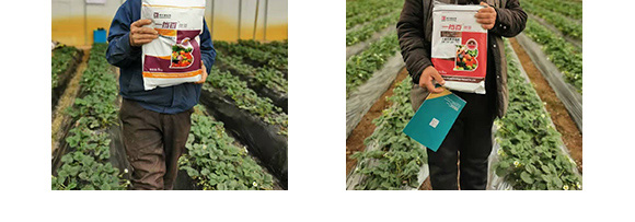 ����Ԫ��ˮ�ܷ�20-20-20+TE-һ����΢��-�̩_12